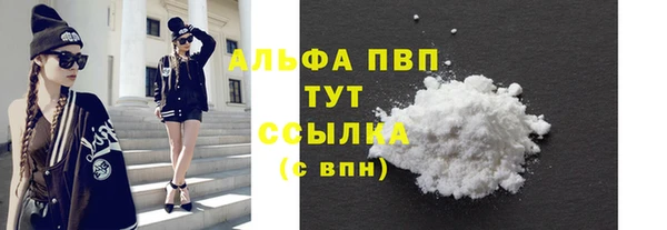 спайс Баксан