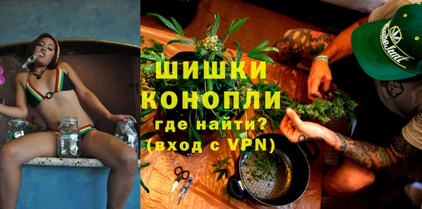 прущие грибы Балахна