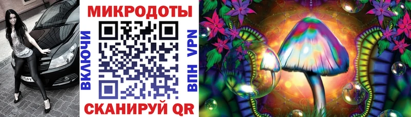 Галлюциногенные грибы Psilocybe  ОМГ ОМГ   Чухлома 