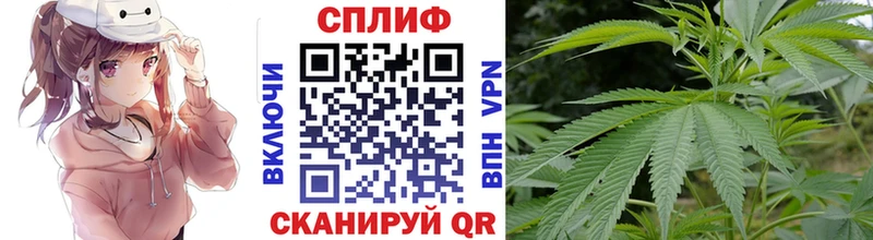 Бошки Шишки AK-47  наркошоп  Чухлома 